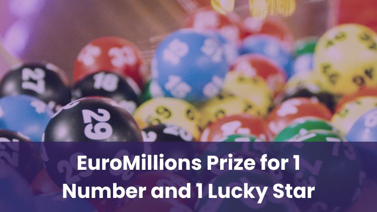 EuroMillions Prize for 1 Number and 1 Lucky Star