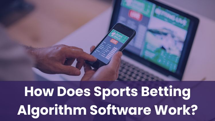 How Does Sports Betting Algorithm Software Work?