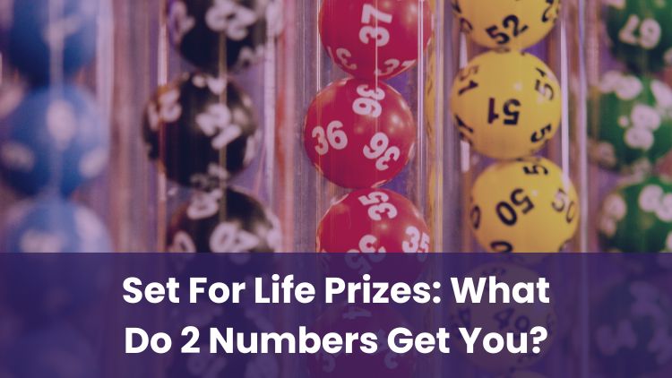Set For Life Prizes: What Do 2 Numbers Get You?